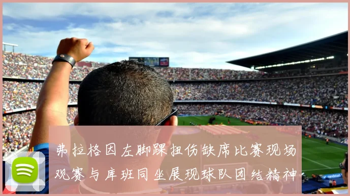 弗拉格因左脚踝扭伤缺席比赛现场观赛与库班同坐展现球队团结精神