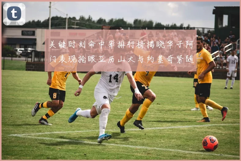 关键时刻命中率排行榜揭晓华子阿门表现抢眼亚历山大与约基奇紧随其后