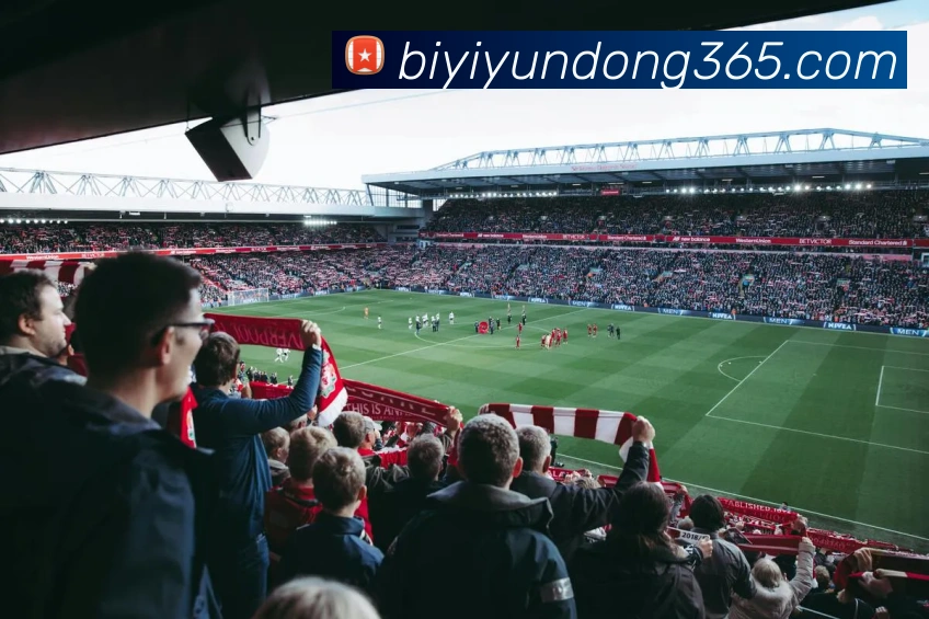 必一体育服务体系